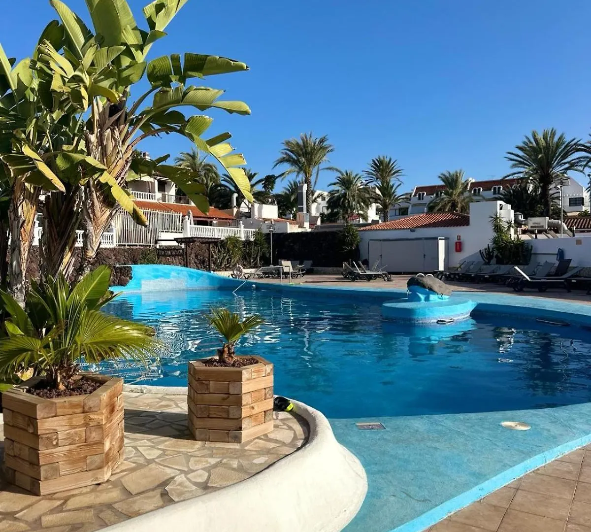 Sunny Sea View Apartment Center Of Las Americas Playa de las Americas  0*, Playa de las Americas (Tenerife) Spain